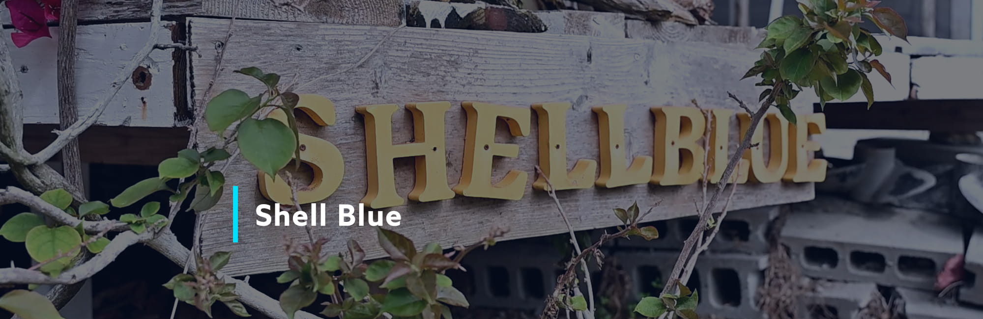 Shell Blue